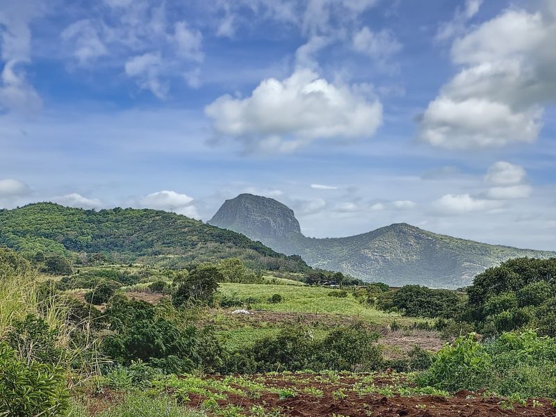 Pamplemousses Terrain 4221 m² Vente