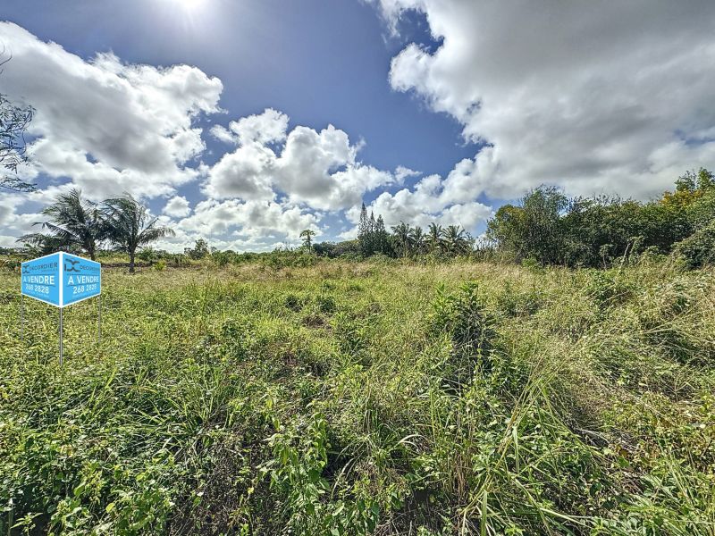 The Vale Terrain 464&nbsp;m² Vente