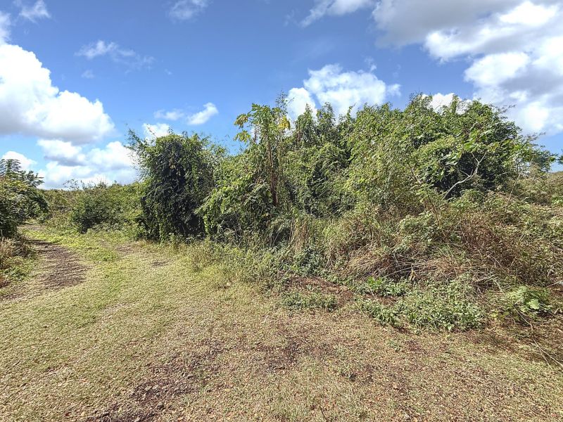 Grand Gaube Terrain à bâtir 1207 m² Vente