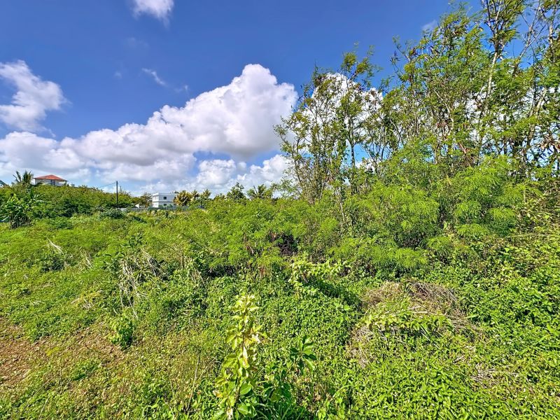 Cottage Terrain 4972&nbsp;m² Vente