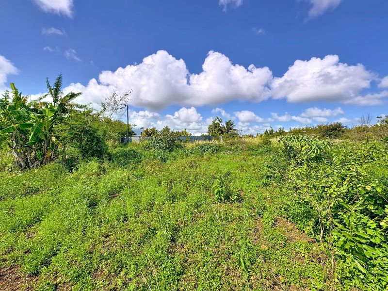 Cottage Terrain 4972&nbsp;m² Vente