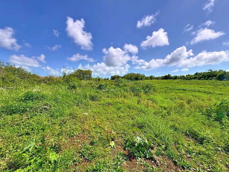 Cottage Terrain 4972&nbsp;m² Vente