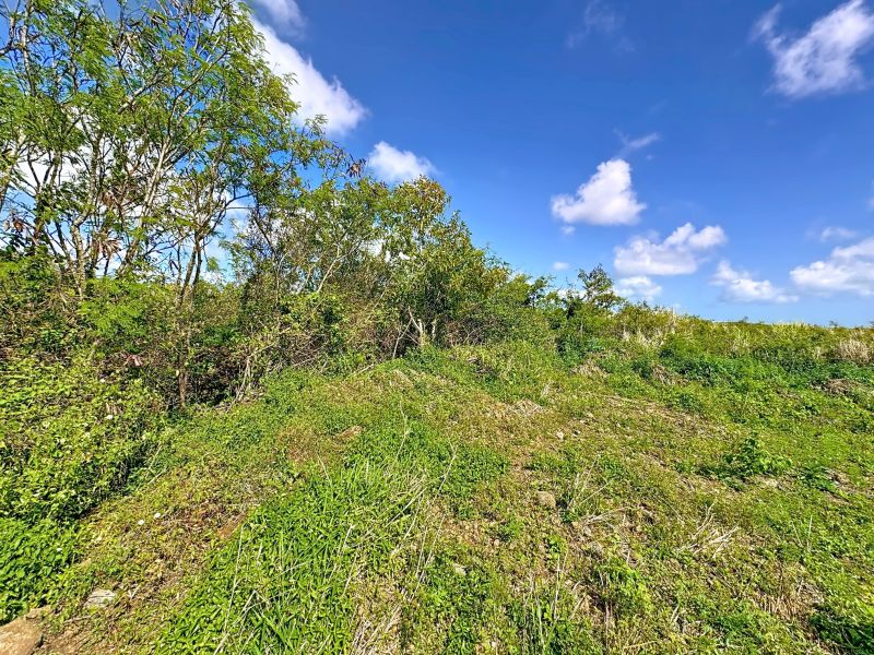 Cottage Terrain 4972&nbsp;m² Vente