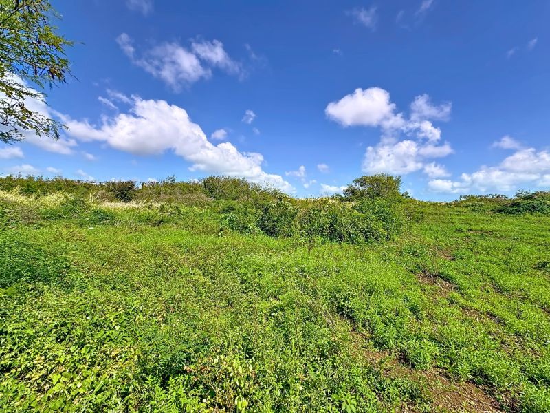 Cottage Terrain 4972&nbsp;m² Vente