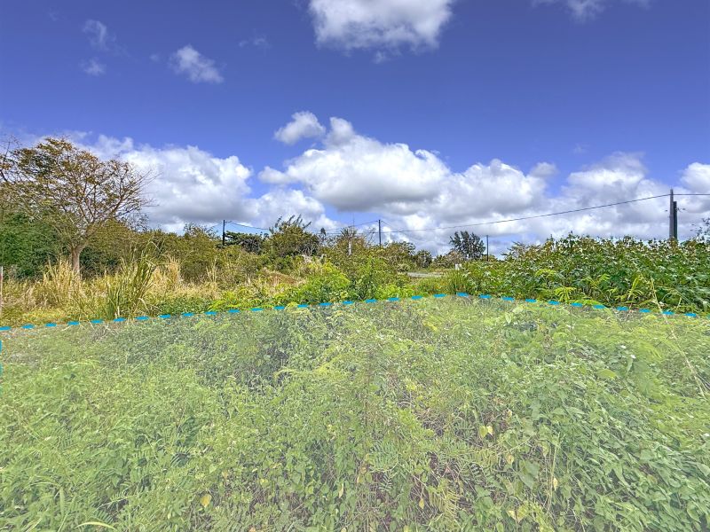 The Vale Terrain 639.28&nbsp;m² Vente