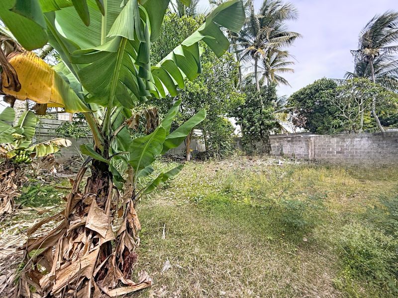 Plaine des Papayes Terrain 237.48&nbsp;m² Vente