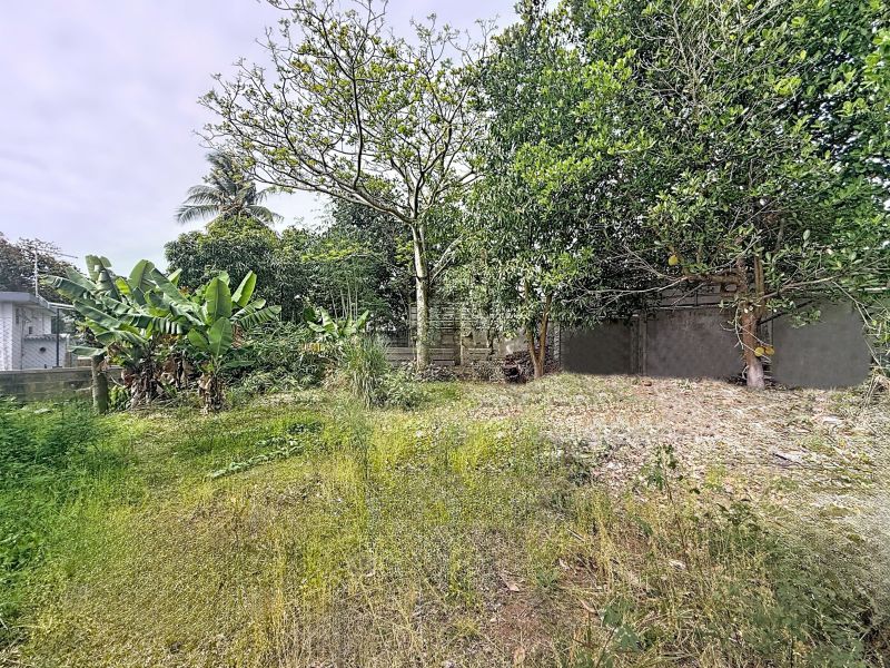Plaine des Papayes Terrain 237.48&nbsp;m² Vente