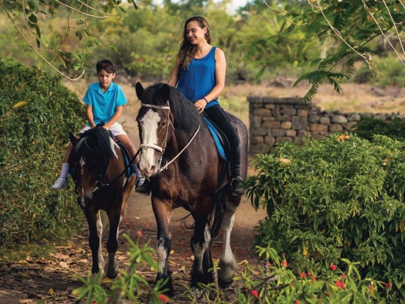 Grand Baie Maison 5 pièces 416 m² Vente