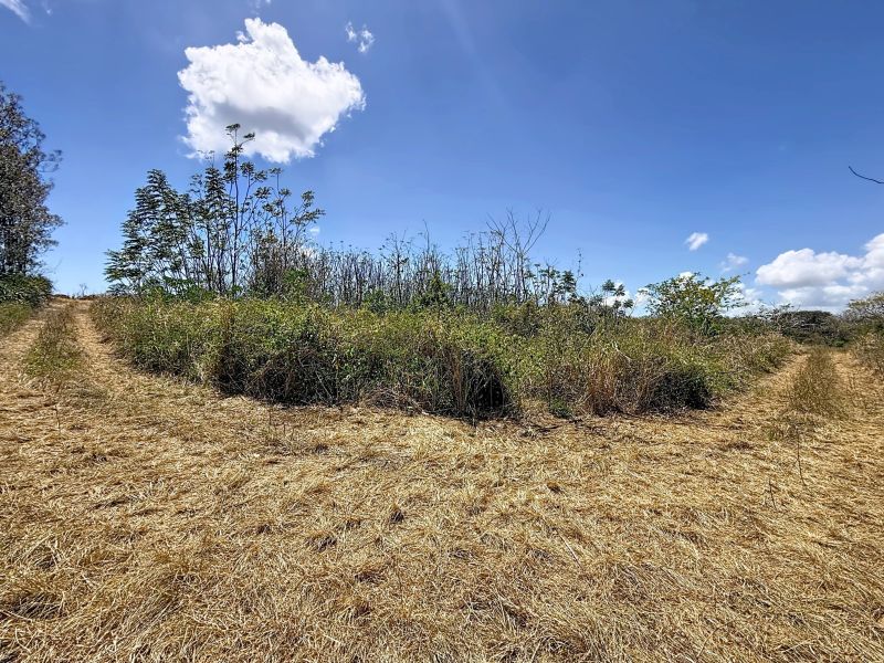 Grand Baie Terrain 4220.87 m² Vente