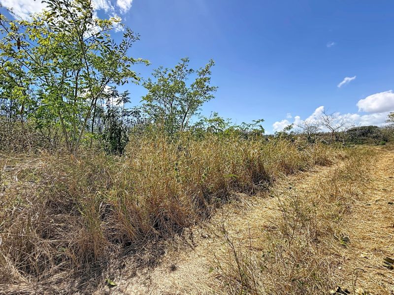 terrain en vente sur Grand Baie Grand Baie Terrain 4220.87 m² Vente