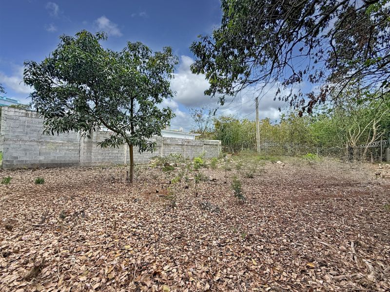 Pointe aux Piments Terrain 308.13 m² Vente