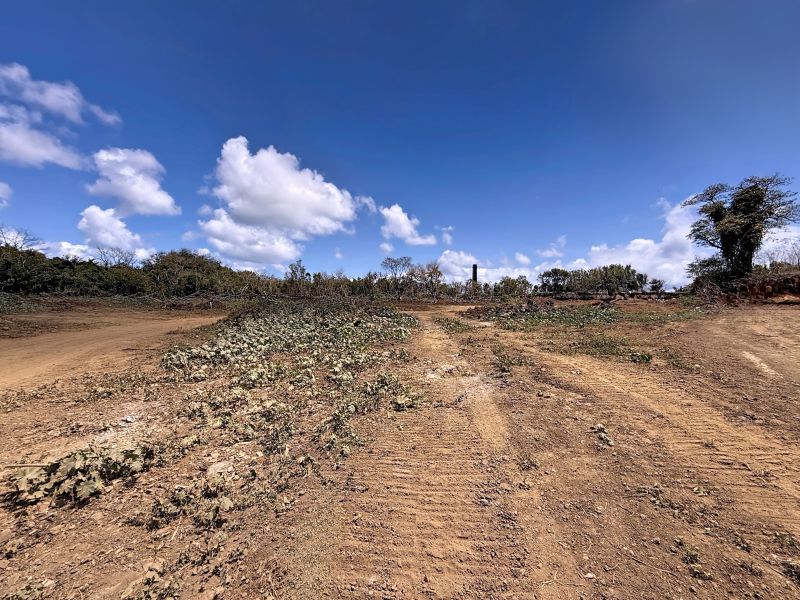 Calodyne Terrain 7600 m² Vente