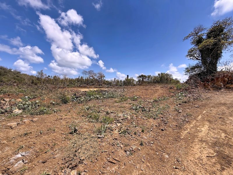 Calodyne Terrain 7600 m² Vente