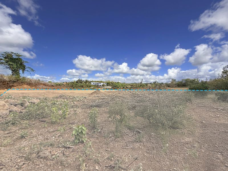 Calodyne Terrain 7600 m² Vente