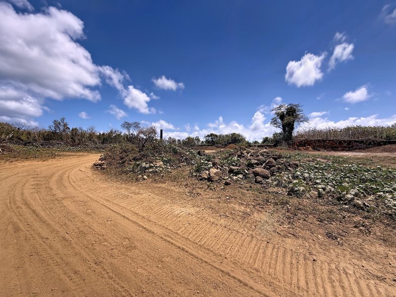 Calodyne Terrain 7600 m² Vente