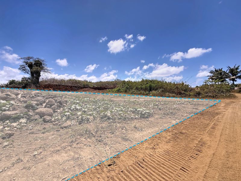 Calodyne Terrain 7600 m² Vente