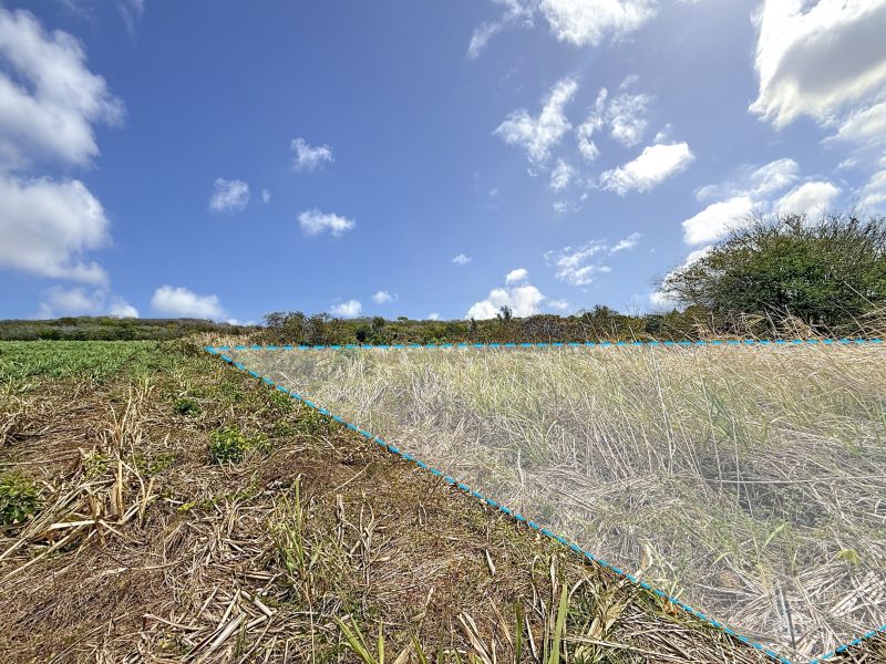 Mont Mascal Land 1888.84&nbsp;m² Sale