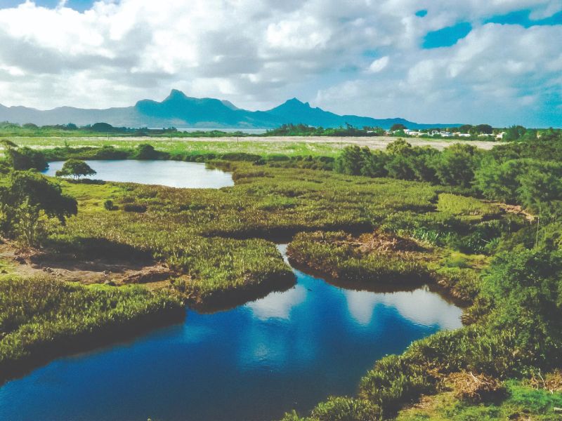 Mahébourg House 5 rooms 288 m² Sale