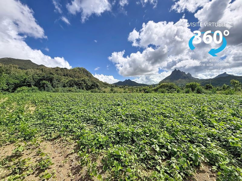 Montagne Longue Land 3896 m² Sale