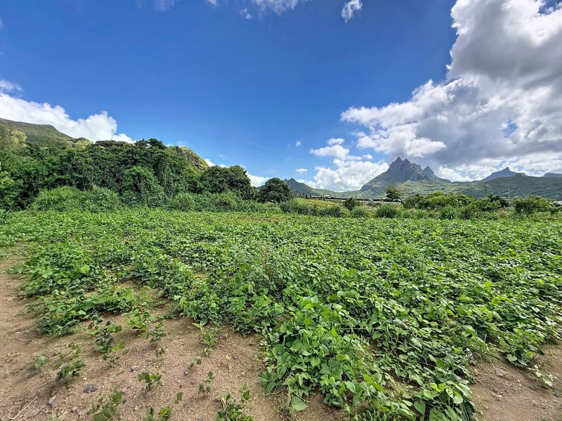 Montagne Longue Terrain 3896&nbsp;m² Vente