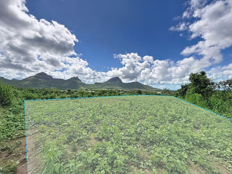 Montagne Longue Terrain 3896&nbsp;m² Vente