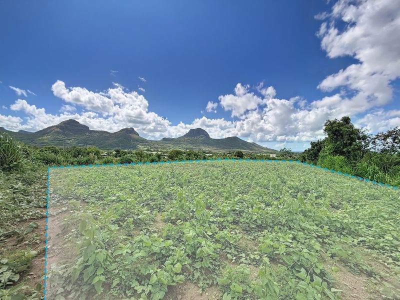 Montagne Longue Terrain 3896&nbsp;m² Vente
