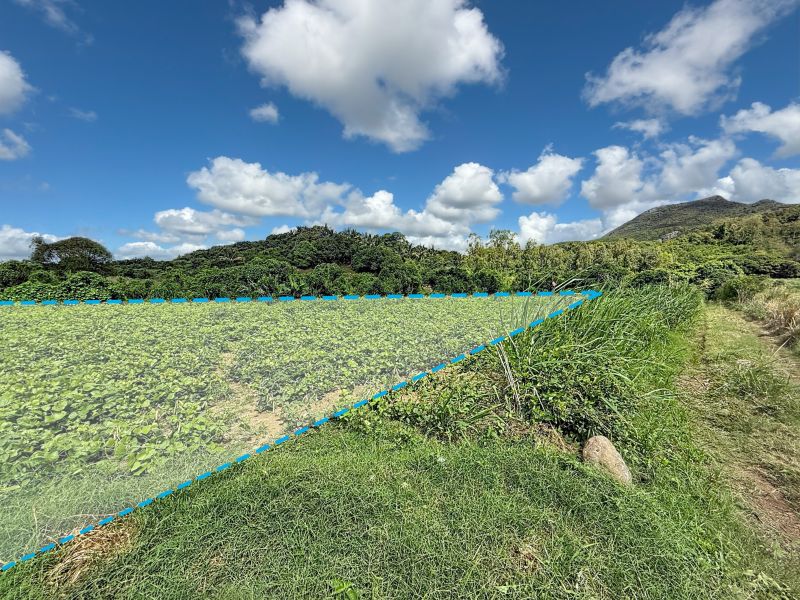 Montagne Longue Terrain 3896&nbsp;m² Vente