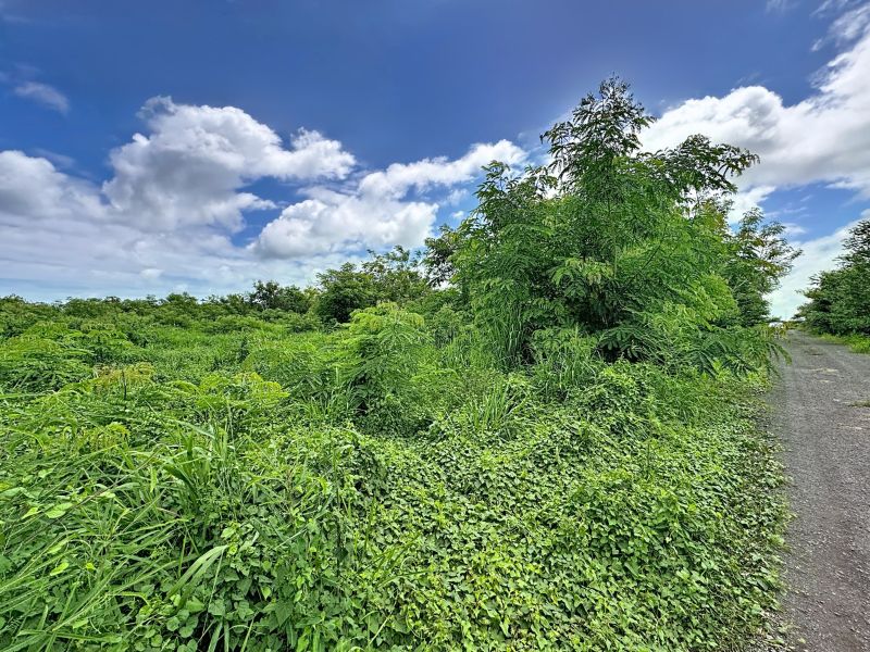 Balaclava Terrain 2200&nbsp;m² Vente