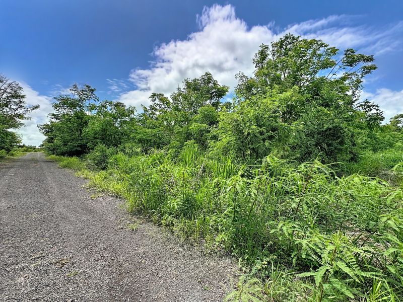 Balaclava Terrain 6192&nbsp;m² Vente