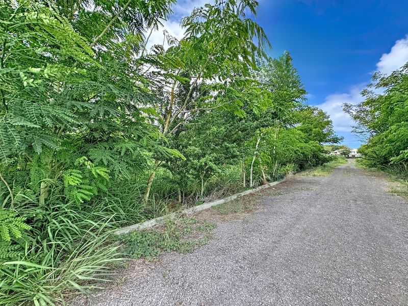 Balaclava Terrain 6192&nbsp;m² Vente