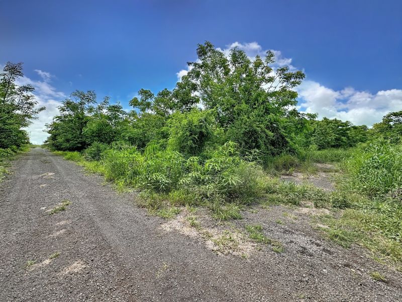 Balaclava Terrain 6192&nbsp;m² Vente