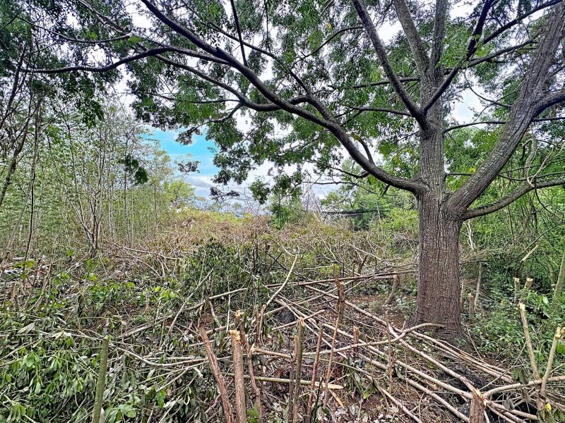 Grand Baie Terrain 536&nbsp;m² Vente
