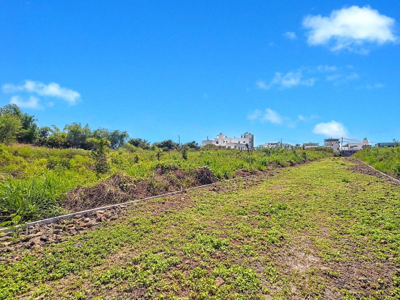 Mont Choisy Terrain 1061&nbsp;m² Vente