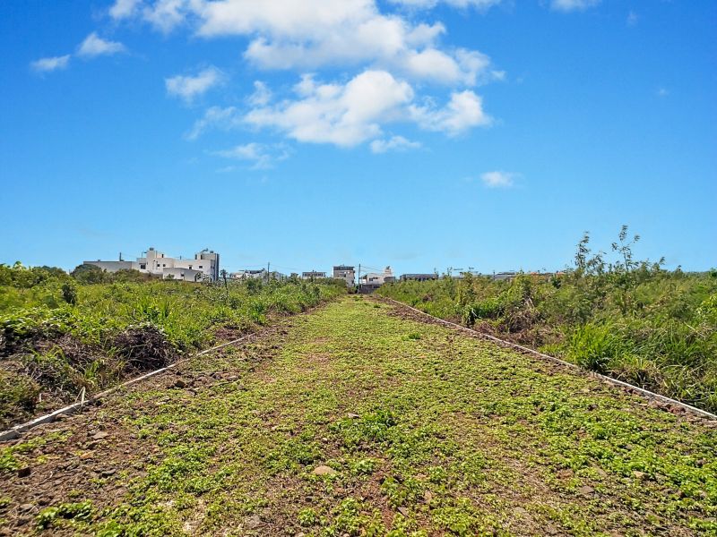 Mont Choisy Terrain 1061&nbsp;m² Vente