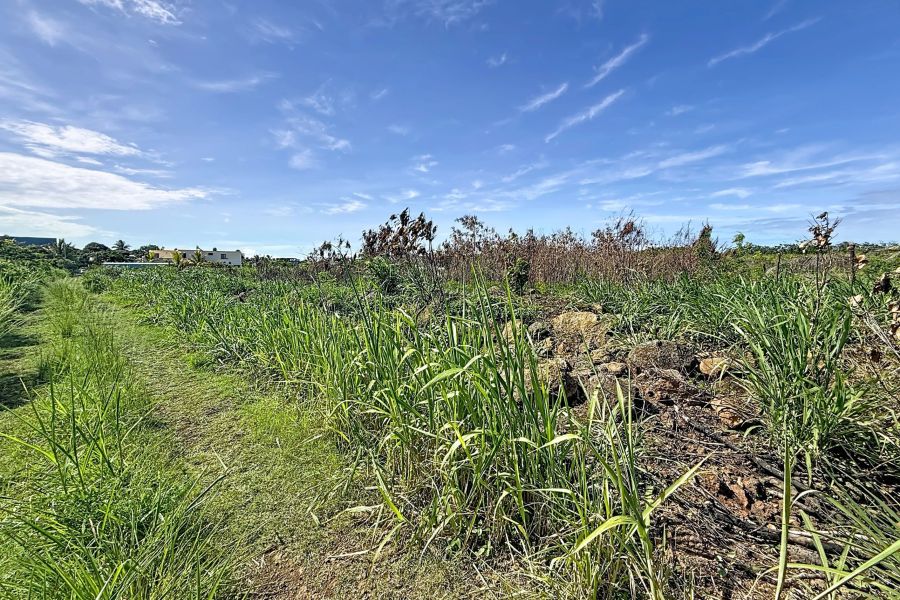 Grand Gaube Land 6335&nbsp;m² Sale