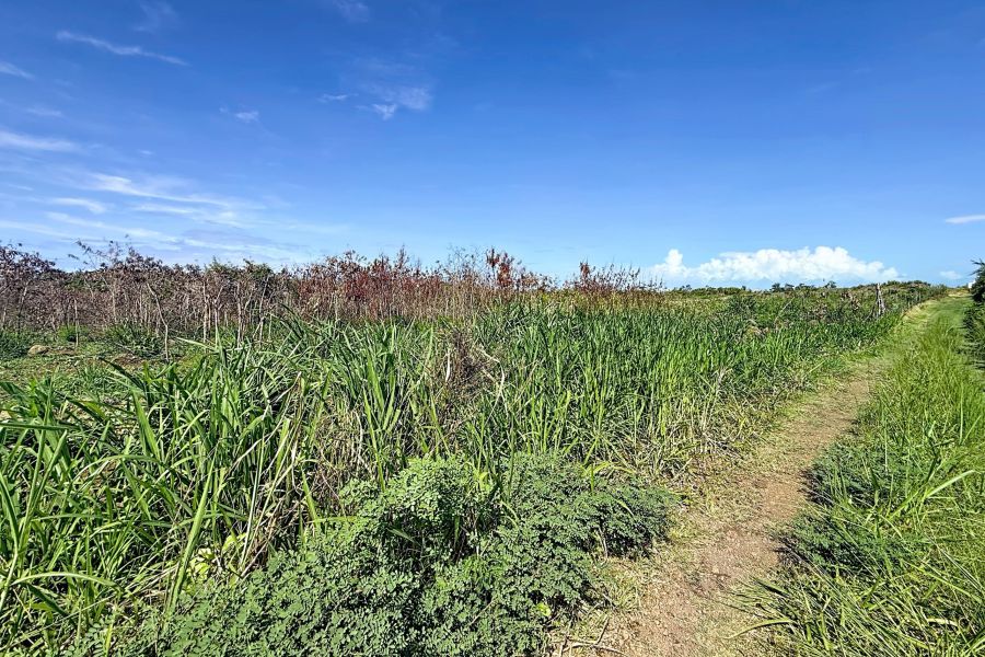 Grand Gaube Land 6335&nbsp;m² Sale