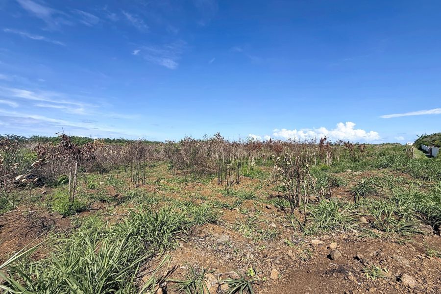Grand Gaube Land 6335&nbsp;m² Sale