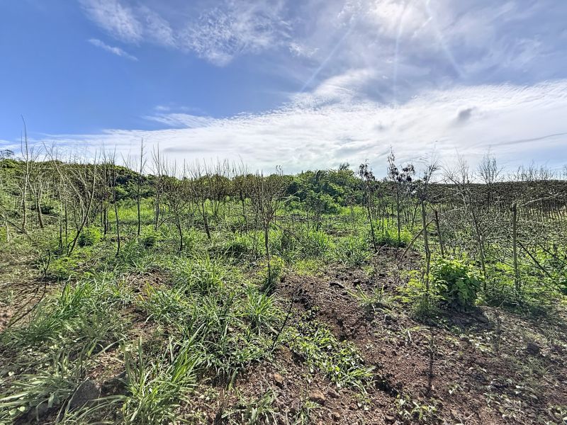 Grand Gaube Land 6335&nbsp;m² Sale