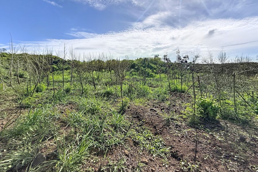 Grand Gaube Land 6335&nbsp;m² Sale