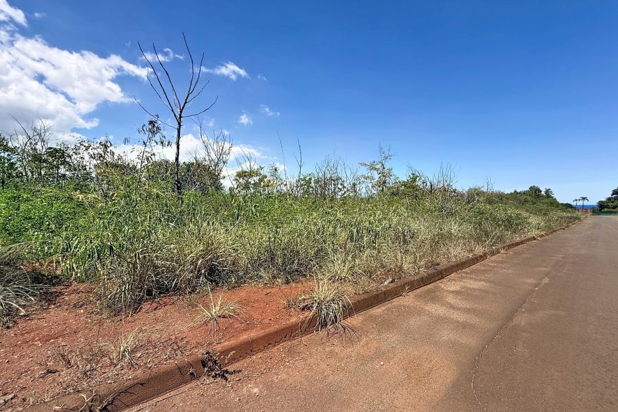 Balaclava Terrain 8329&nbsp;m² Vente