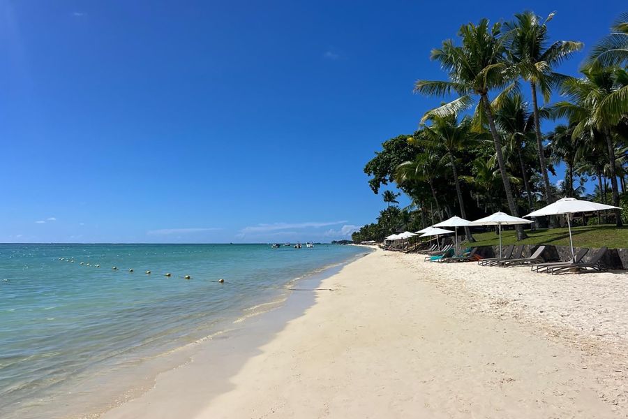 Trou aux Biches Immeuble 427&nbsp;m² Vente