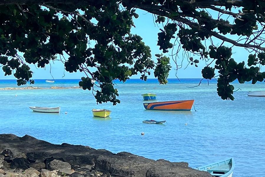 Trou aux Biches Immeuble 427&nbsp;m² Vente