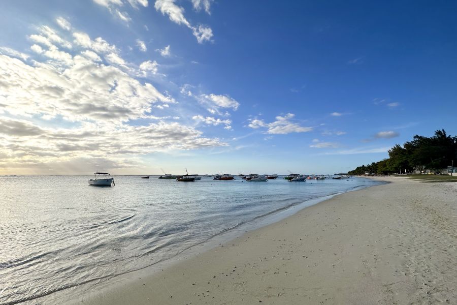 Trou aux Biches Immeuble 427&nbsp;m² Vente