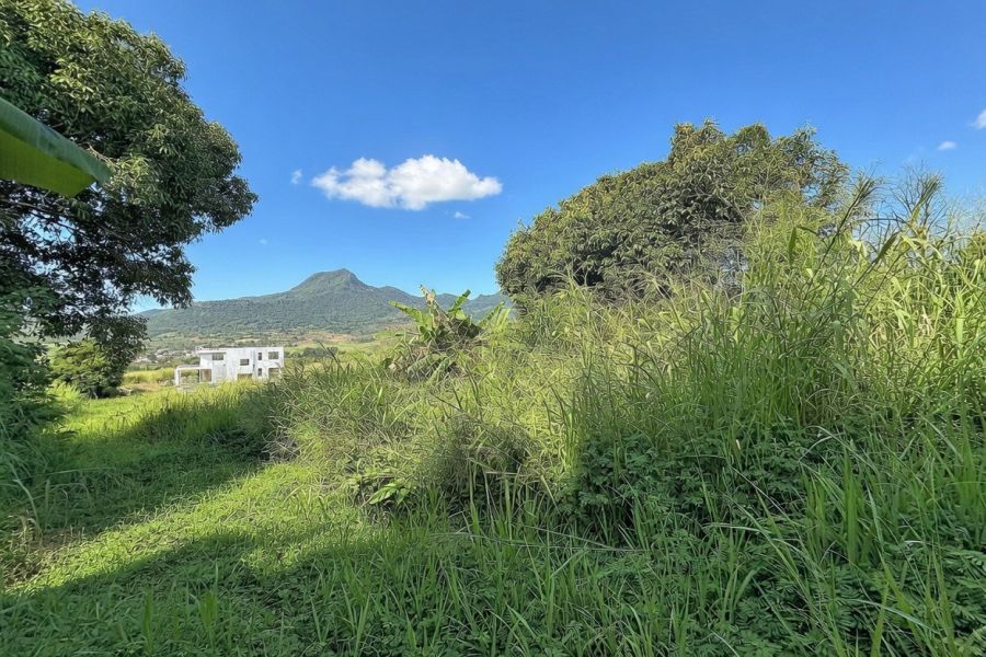 Crève Coeur Terrain 2110&nbsp;m² Vente