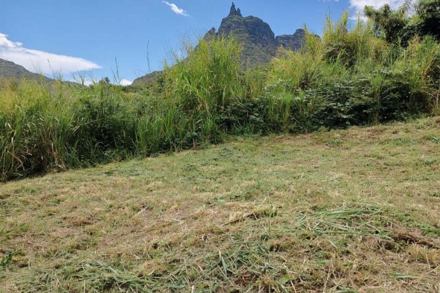 Crève Coeur Terrain 2110&nbsp;m² Vente