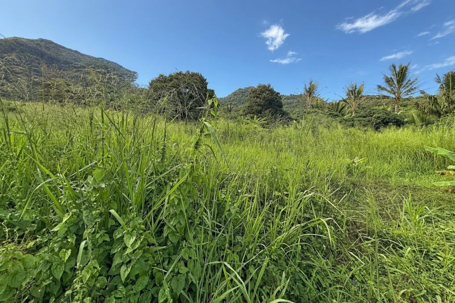 Crève Coeur Terrain 2110&nbsp;m² Vente