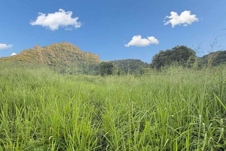 Crève Coeur Terrain 2110&nbsp;m² Vente