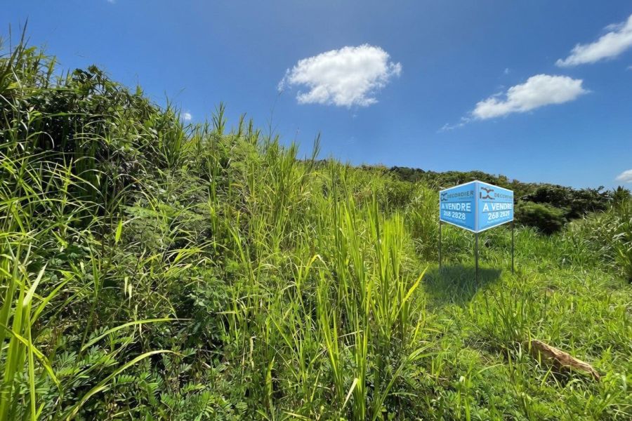 Crève Coeur Terrain 2110&nbsp;m² Vente