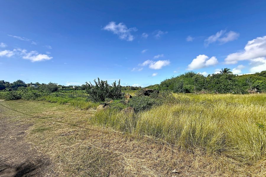 Pereybere Terrain 2037&nbsp;m² Vente
