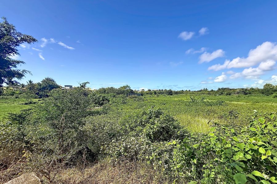 Pereybere Terrain 2037&nbsp;m² Vente